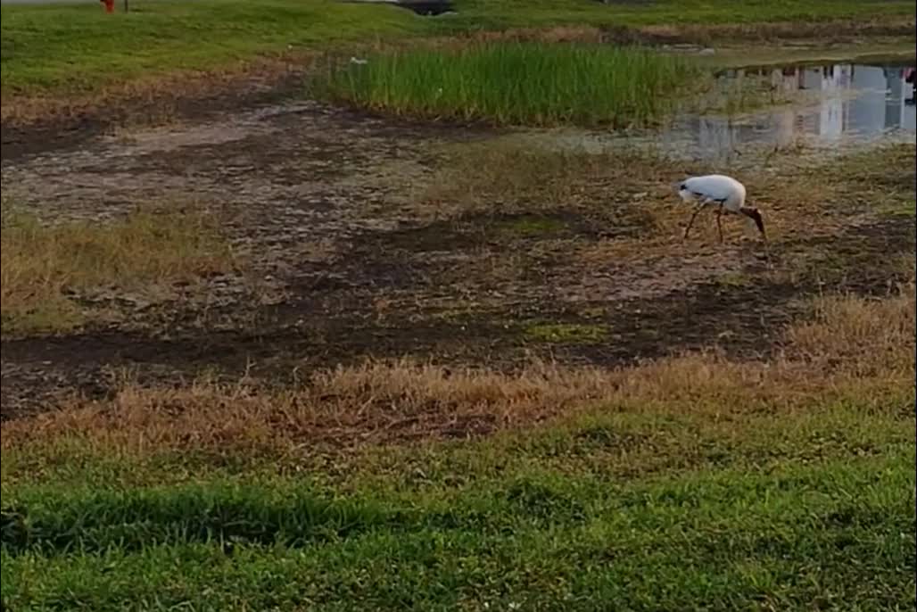 The nature zone: More of snack time