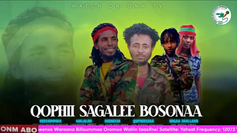 Qophii Sagalee Bosonaa ONM-ABO Adoolessa 13-2024 itti dhiyaadhaa!