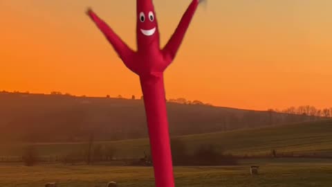 The Wacky Waving Tube Guy Is On The Farm