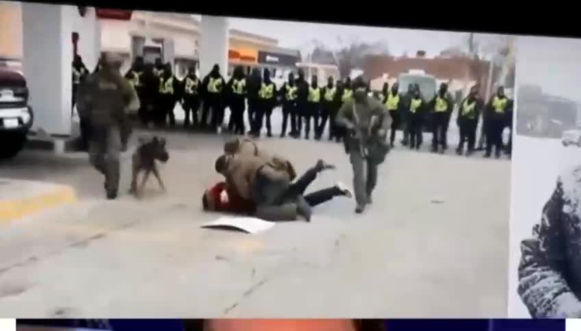 Man gets tackled by NWO troops at the Ambassador Bridge today