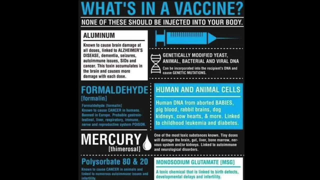 What is in a Vaccine!