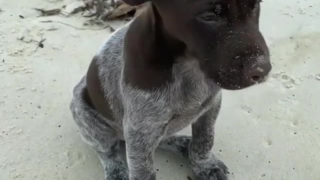 Enjoying a lil beach wind in the hair