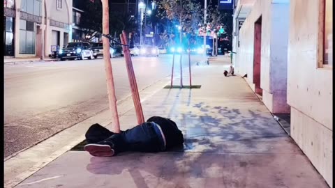 Welcome to Hollywood