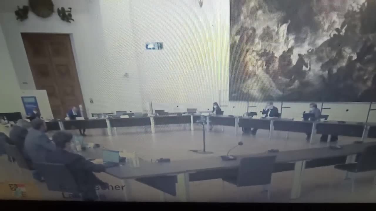18.05.2021 Corona Fake - Die Anhörung meiner Petition im bayerischen Landtag