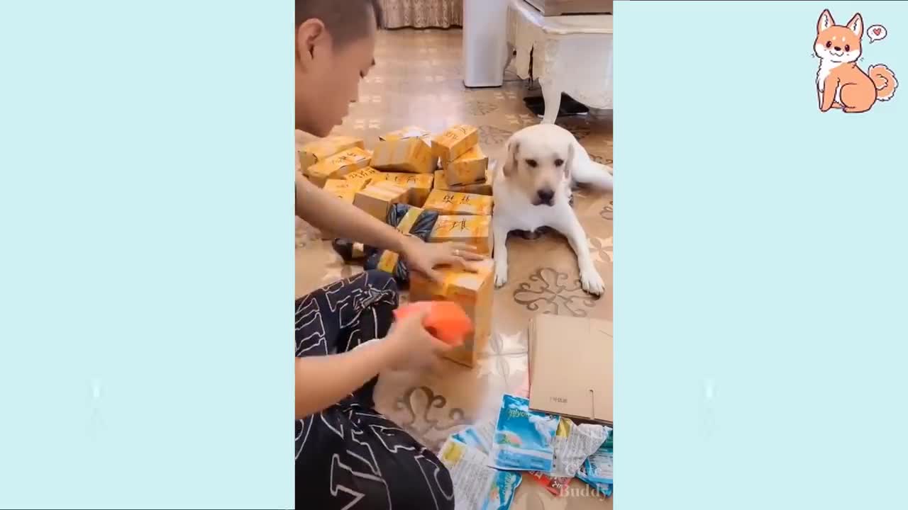 Cute Puppies 😍 Cute Funny and Smart Dogs Compilation/Cute Buddy