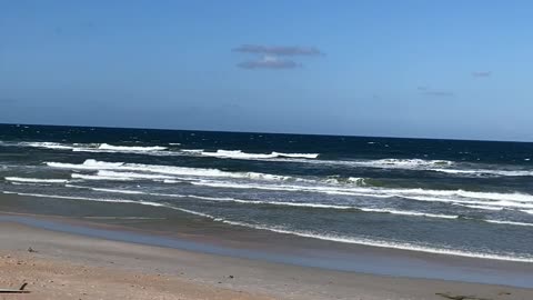Marineland Beach in Florida