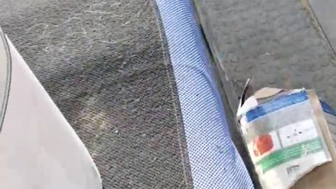 081124 I found Capt Slithers