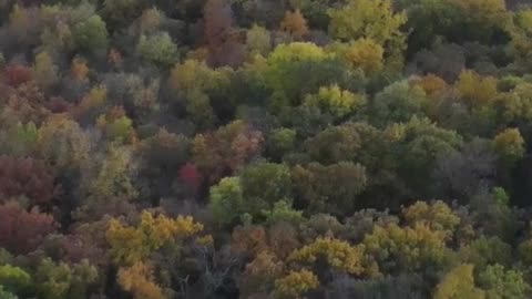 Fall Leaves 2023 - Bailey's Ford Park, Manchester, Iowa