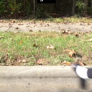 When Jesus Tells YOu Do It Do It