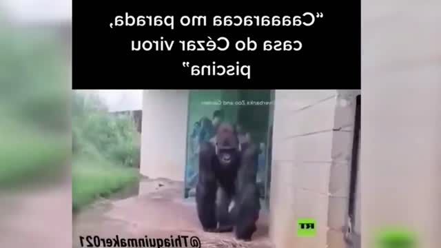 BEST MEMES COMPILATION | 🤣 Try Not to LAUGH Challenge | Dank Memes Compilation #3