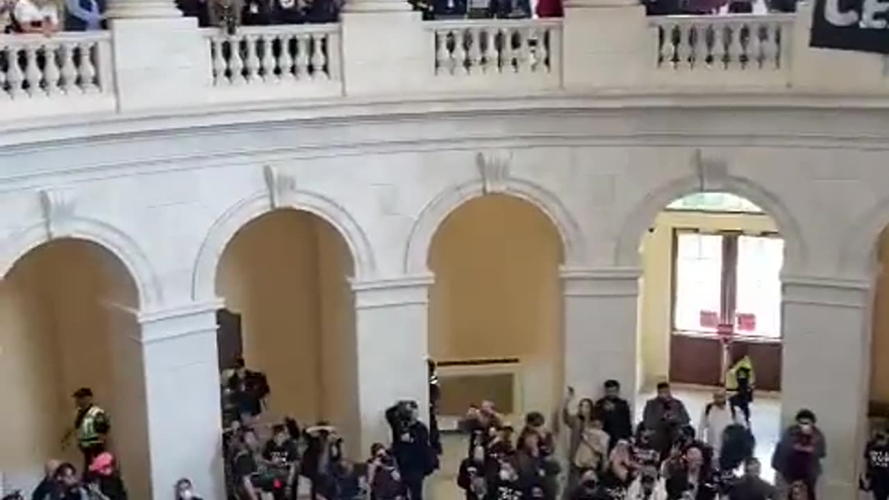 A group of pro Palestinian protesters storm the US Capitol