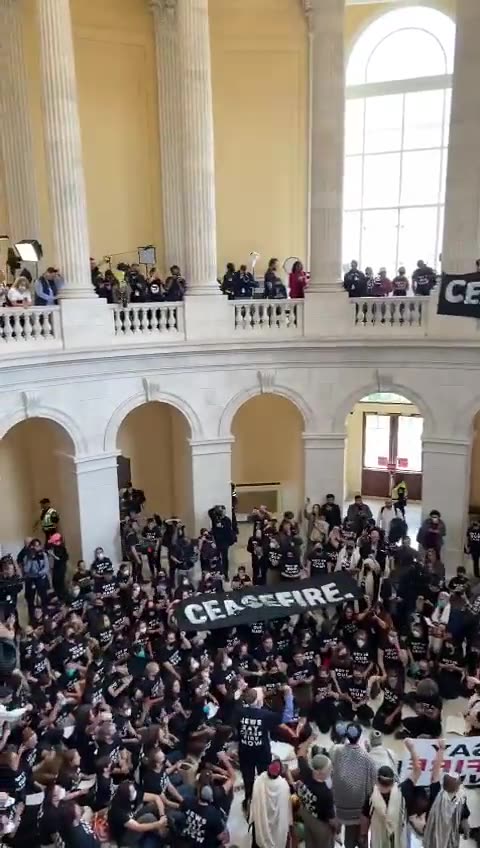A group of pro Palestinian protesters storm the US Capitol