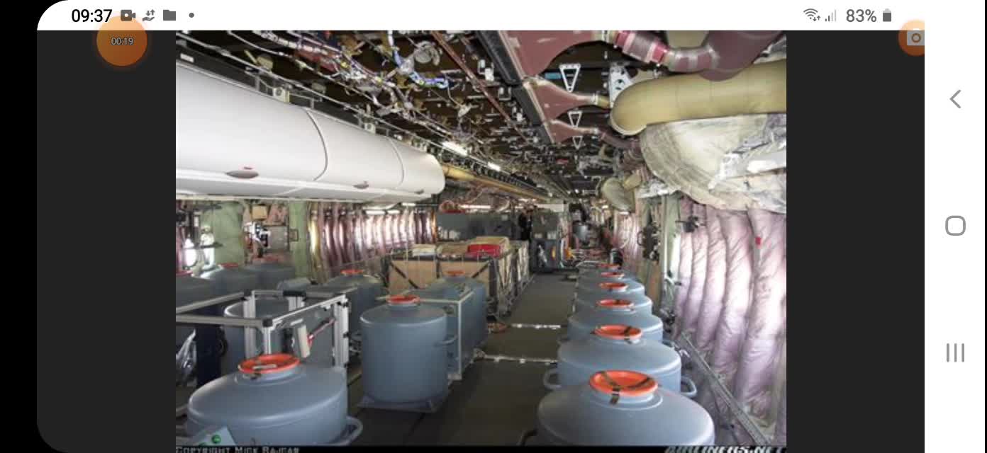 Pest€s p€st$ plagд$ Schädliиg€ ravag€цrs ...