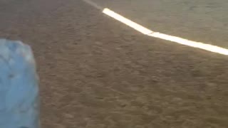 Horse gets sassy as we transition in round pen