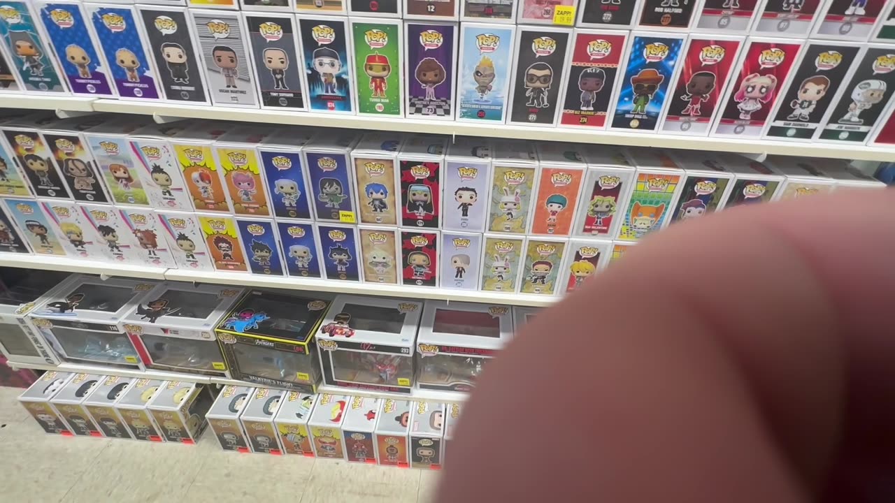 FUNKO FIG HUNT