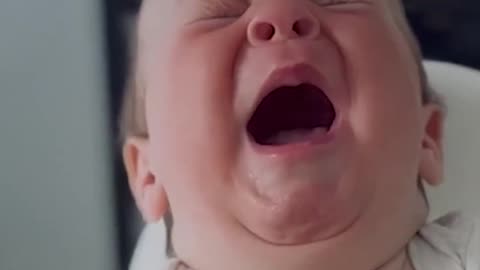 Cute and Funny