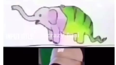 Funny videos 🤣