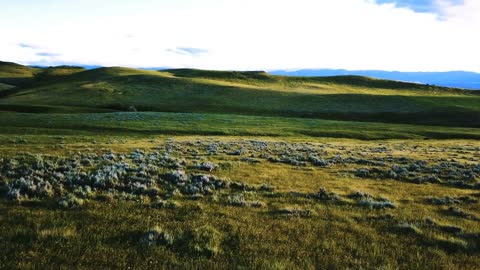 Drone flying forward above majestic peaceful spring prairie landscape