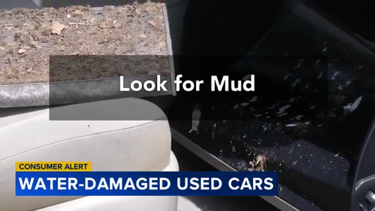 How to avoid purchasing a previously water damaged used car
