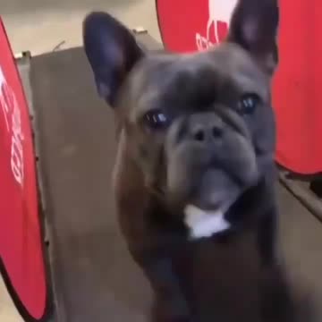 Tentando correr na esteira 😂😂