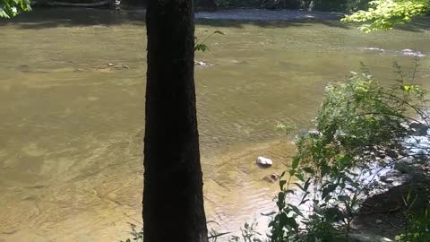 Rocky River Reservation Valley Parkway 7/4/21