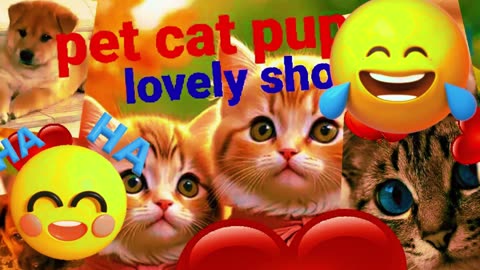 The Funniest Cat and Dog Moments Caught on Camera! 📸🐾