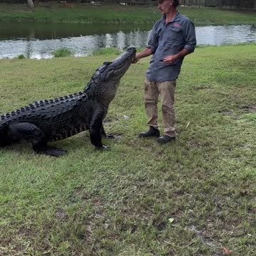 Brandon and Ole Timer coming out to say hi!!! · Original audio.