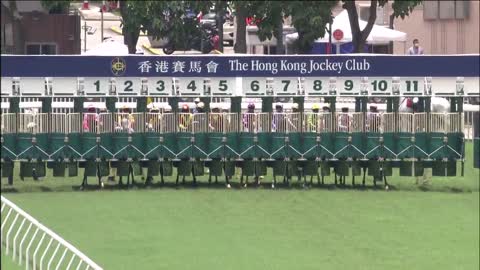 Horse_Race_2022061201_English