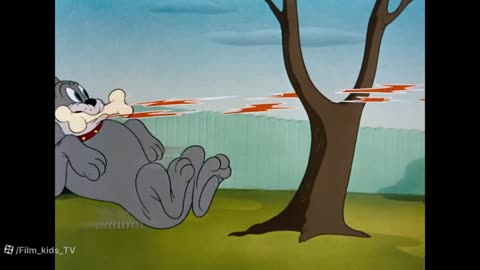 Tom & Jerry | funny #animation | cartoon | viral | cartoon movie | Animated Cartoon