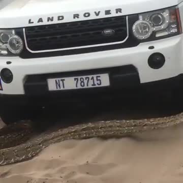 No one can face such, though everyone what to see what next 😂😅🤣