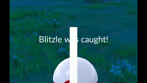 Pokémon GO-Shadow Blitzle