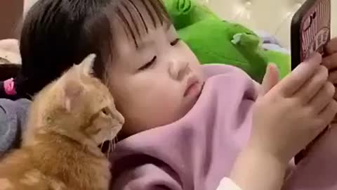 funny cat videos 2021