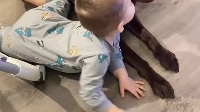 Funny Baby Gif