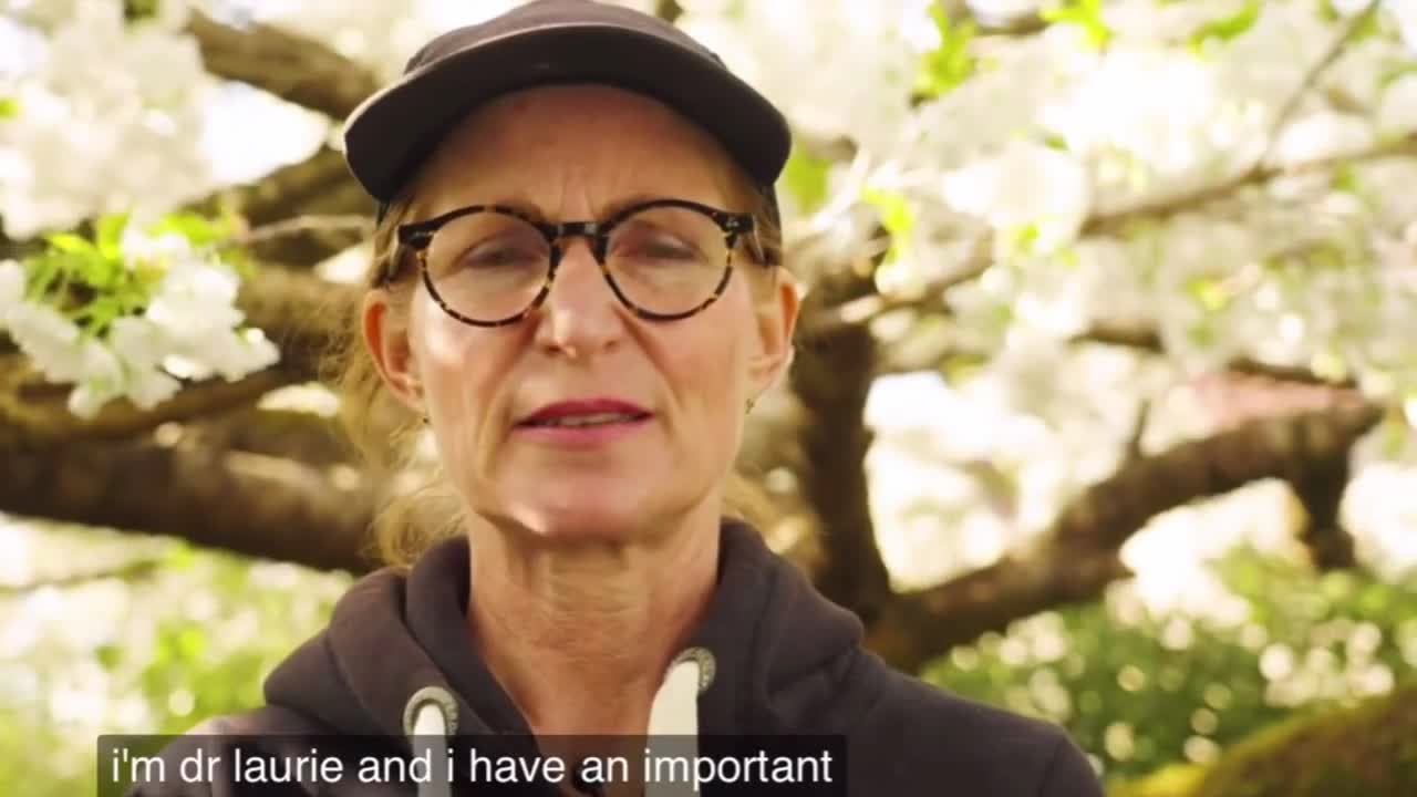 WHO - GOVERNMENT - HEALTH AUTHORITIES