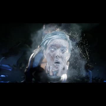 MK 11 SUB-ZERO FATALITY ICE-CUTIONER