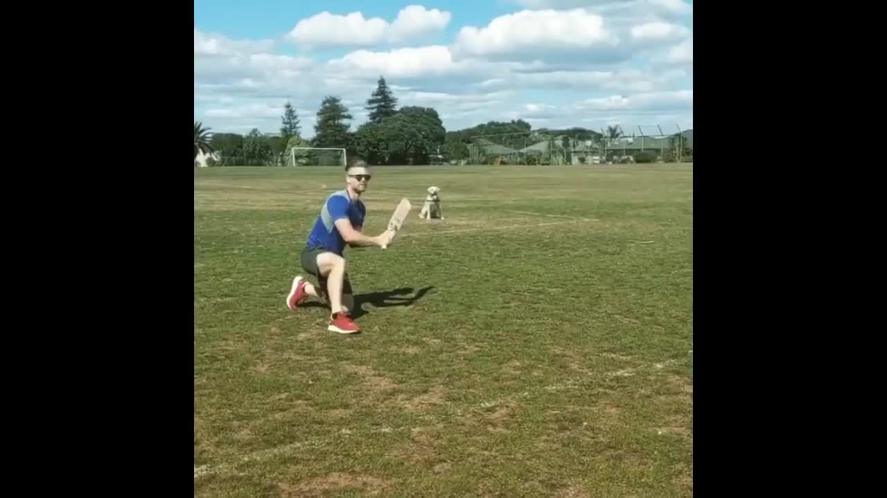 Dog Catch Challenge Ft. Kane Williamson, J Neesham, S Iyer, Tom Banton, M Labuschagne, K Pietersen