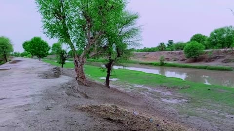 My Village Natural Beauty