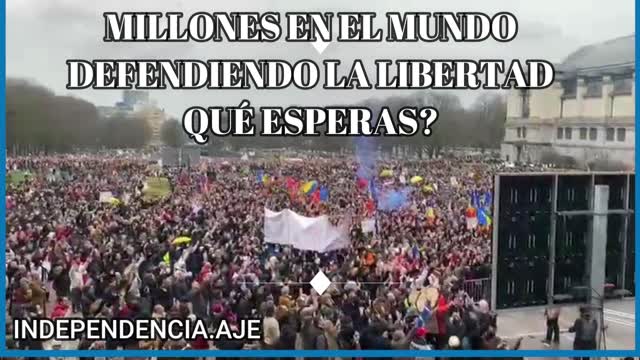 El Mundo Reacciona