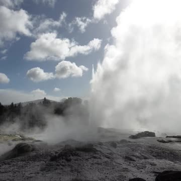 Geyser in Rotorua