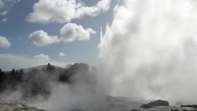 Geyser in Rotorua