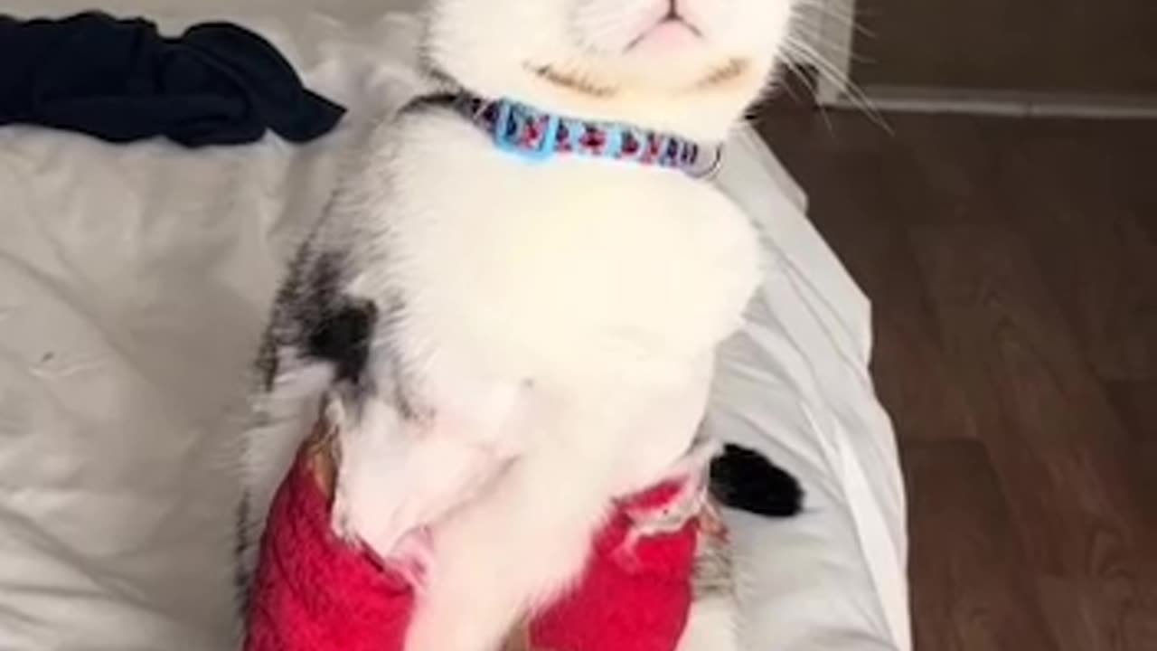 Learning the hard way 😣