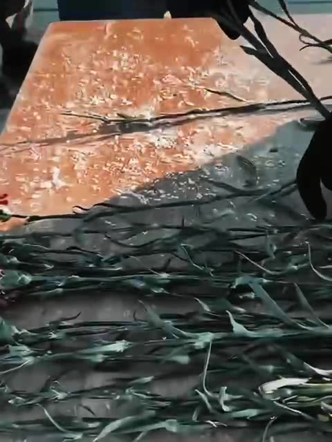 Yevgeni Prigozhin's PMC (Private Military Company) Wagner