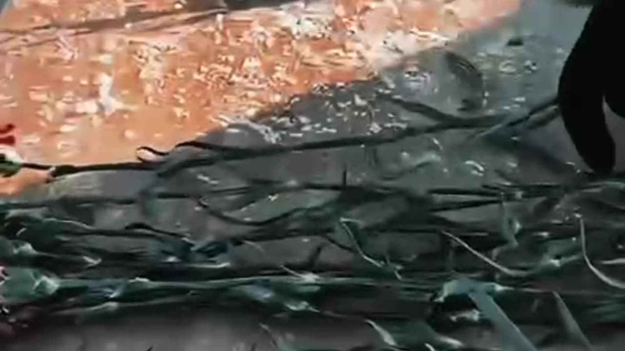 Yevgeni Prigozhin's PMC (Private Military Company) Wagner