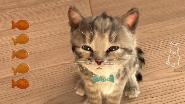 Little kitten My Favorite cat (Cat In Real Life)