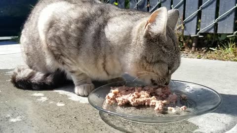 20240415 153759 Birthday Eating