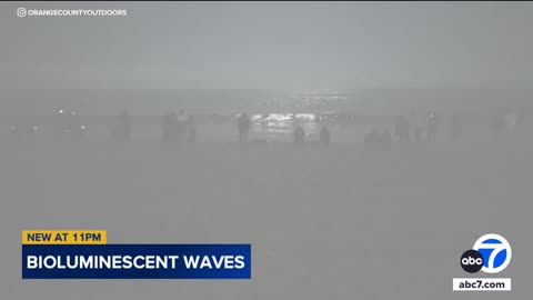 Bioluminescent waves captured in Newport Beach