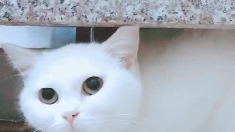 I'm looking at you and I'm looking at you