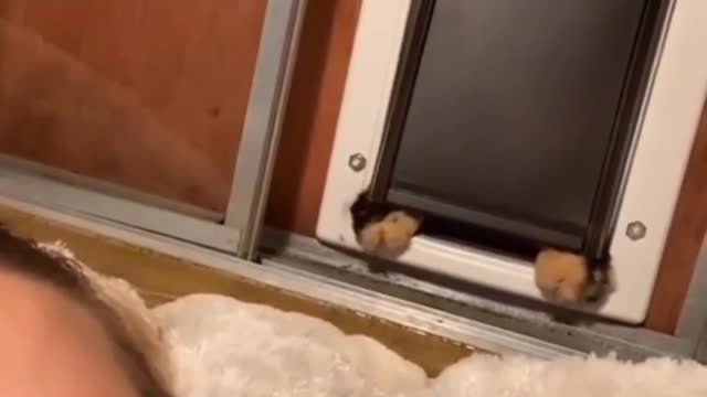 She is taking care of her by bringing her dinner! Enjoy 😊".