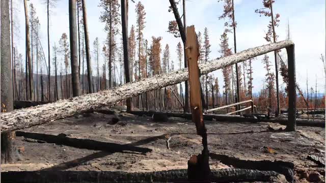 Recreating After Fire - Rocky Mountain National Park