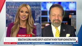 John Bolton is a CLOWN 🤡 . Sebastian Gorka on NEWSMAX